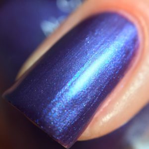 Blueberry Satin macro