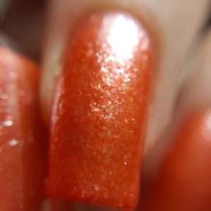 Corallo macro