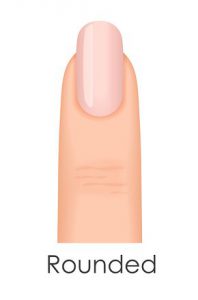 Rounded Nail Shape