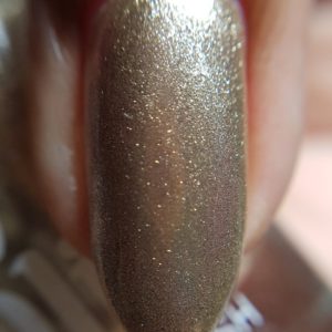 Glass-Slipper-Nail-Macro