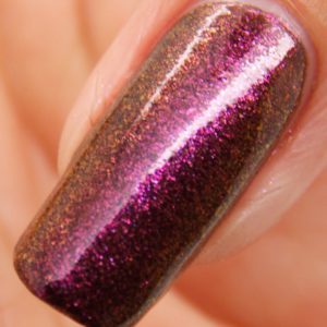 Boudica-Nail-Macro