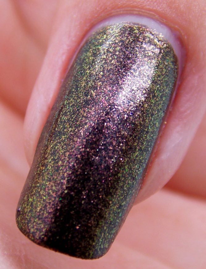 Cleopatra-Nail-Macro