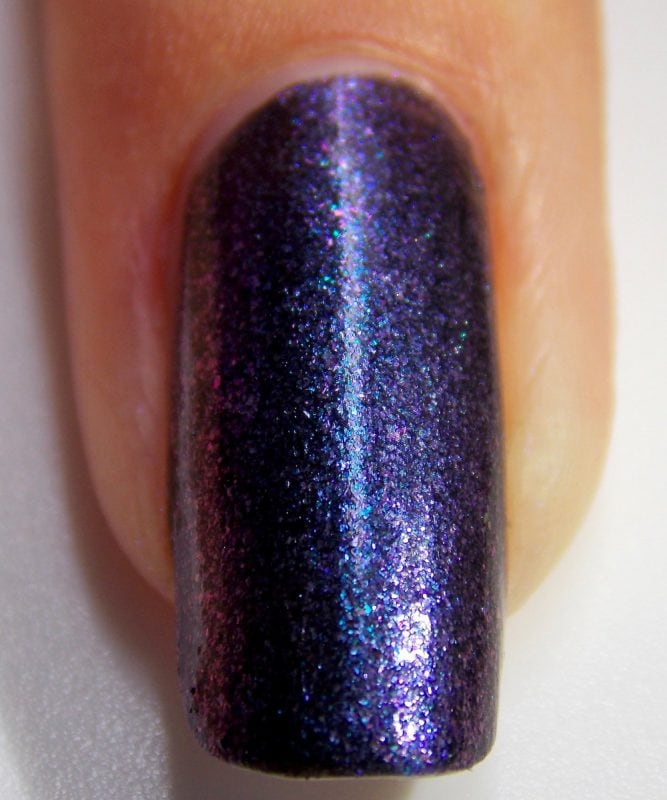 Lady Macbeth-Nail-Macro