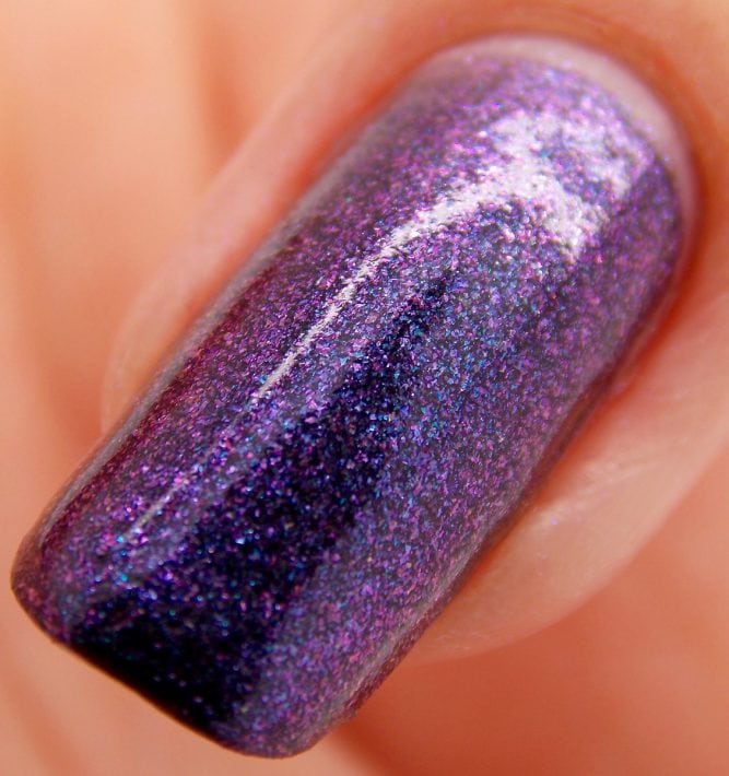 Lady Macbeth-Nail-Macro2