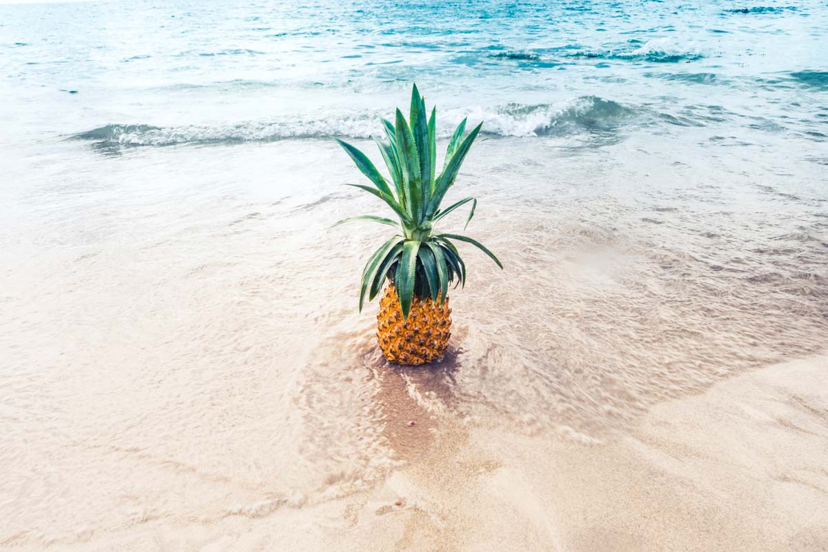 Pineapple on beach