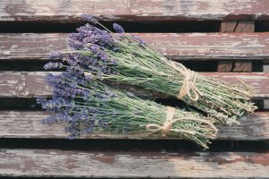 Two bunches of lavender tied with string lying on wooden slated bench