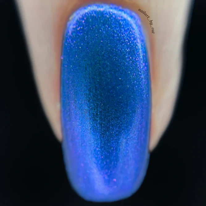 Electric Blue - Image 3